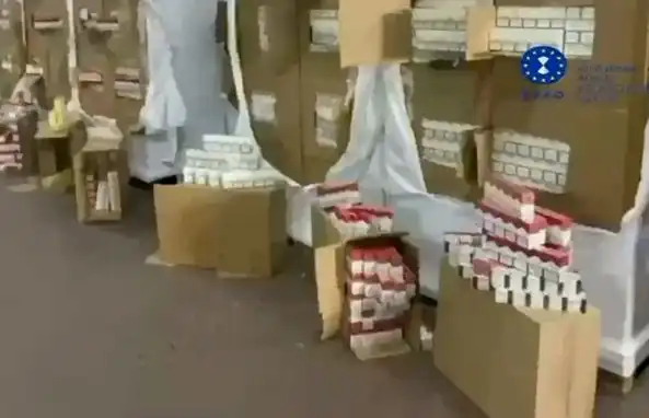 Разбиха суперскъпа фабрика за нелегални цигари в Италия, арестувани са българи Видео