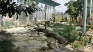 Пловдив ще получи милиони за своя...