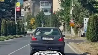 Ето какво се случи с изрода, тероризирал кучето си в Банско