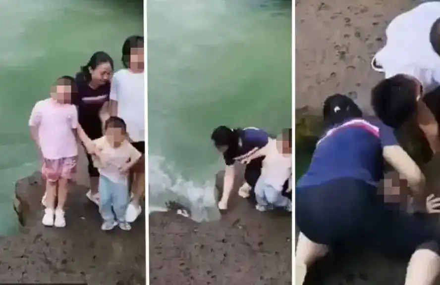 Секунди от ужас: Семеен пикник се превърна в кошмар Видео