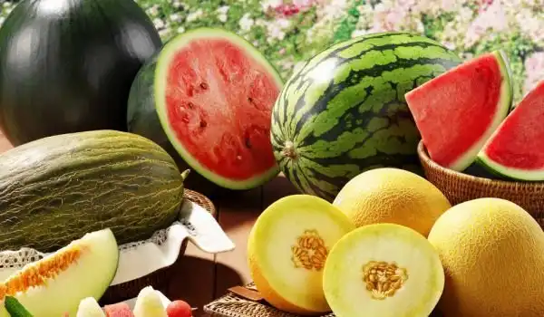 Ужас посред лято: Оставаме без дини и пъпеши?