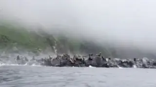 Видео запечата момента на чудовищния трус в Русия