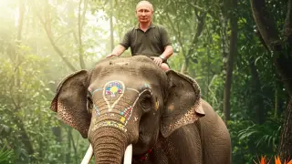 Вече и слонове подаряват на Путин, той ги праща към...