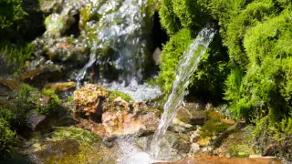 Хиляди пълнят вода от чешма в Родопите - лекува 100 болести