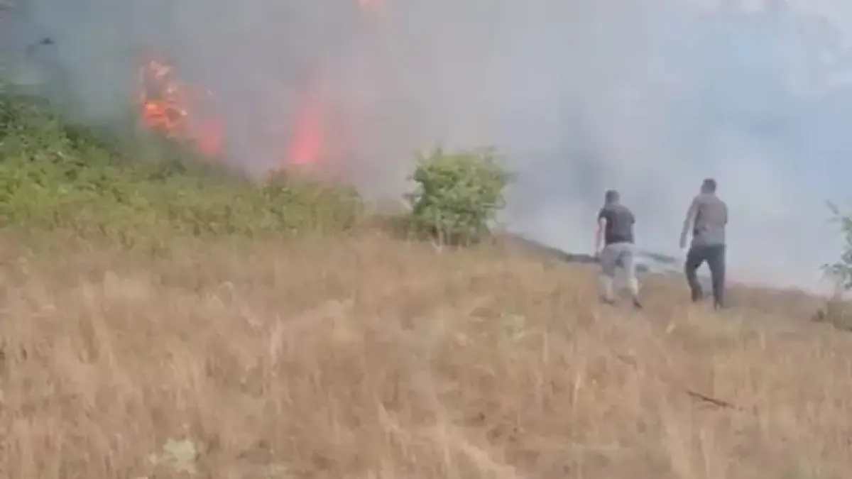 Последни новини за новия пожар в Трънско