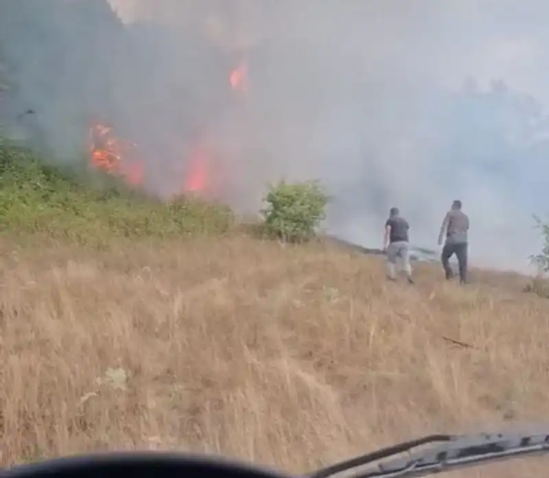 Последни новини за новия пожар в Трънско