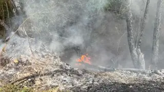 Пирин под наблюдение: Продължават обходите за тлеещи огнища след големия пожар