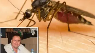 Страшна напаст нападна бургазлии, властта вади дроновете