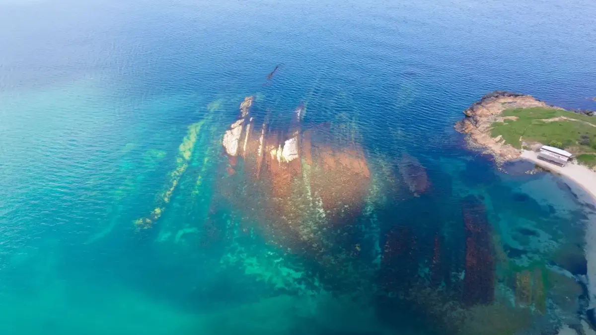 Екологични промени застрашават живота в Черно море
