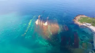 Учени предупреждават: Голяма промяна чака Черно море до 2070 г.