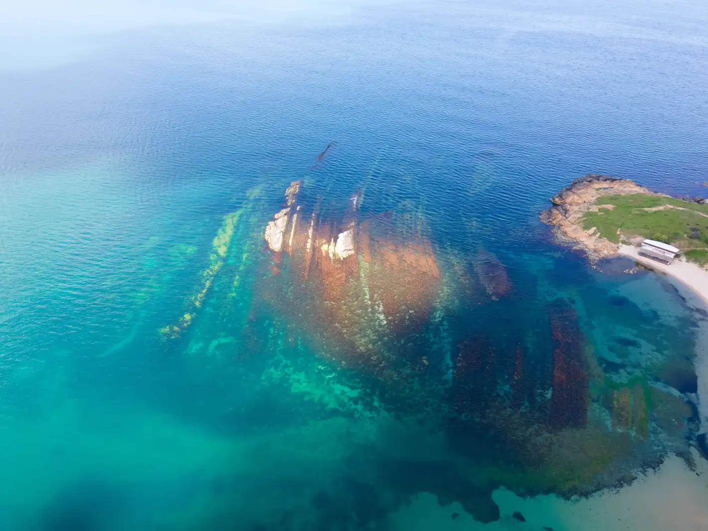 Екологични промени застрашават живота в Черно море