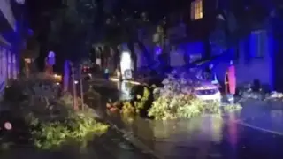 Дърво падна върху такси с клиенти в Благоевград