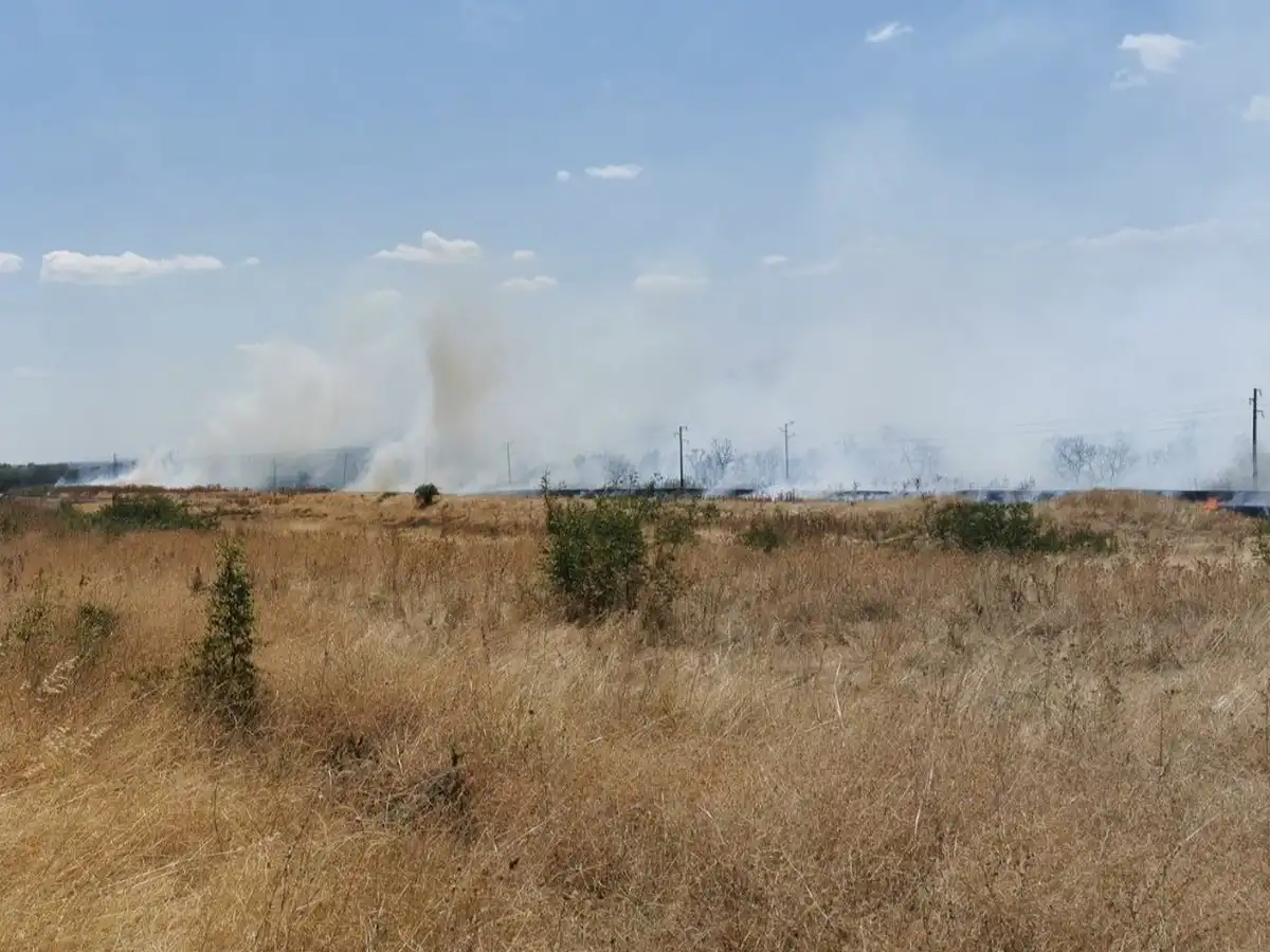 Пожар край свинезаводa в Карнобат Снимки