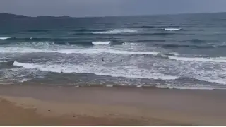 Здравко от "Биг Брадър" показа с видео как стават големите бели, никой не е застрахован