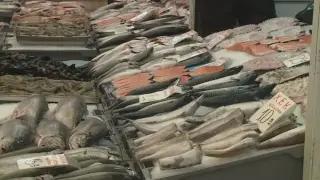 Пресен калкан залива пазарите край морето – цените падат