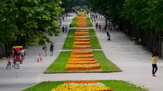 Първа версия за стрелбата в Морската градина във Варна