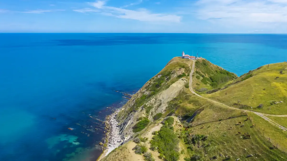 Необичаен улов в Черно море! Ето какво извади рибар край нос Емине Снимки