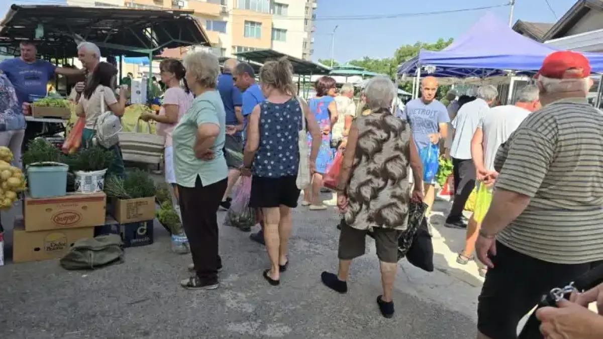 Първите боровинки вече са на пазара, ето какви пари им искат