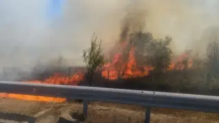 Огненият ад на АМ "Тракия" се завърна, страшно е Снимки
