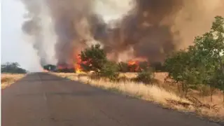 Цял завод изгоря в Бургарско, пуснаха шведските самолети да гасят стихията Видео