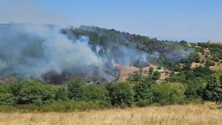 Голям пожар пламна край Банкя, търсят доброволци по спешност Снимки