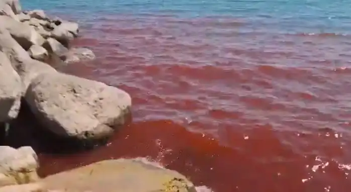 "10-те египетски бедствия" се завръщат? Кървавочервеното Галилейско езеро е знак за Края на времето Видео