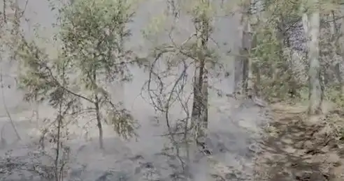 Шефът на пожарната с последни новини за пламнала България