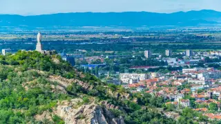 В голям наш град попищяха от нашествие на страховити насекоми