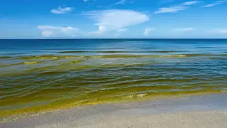 Аномалия в Черно море, опасна е за хората