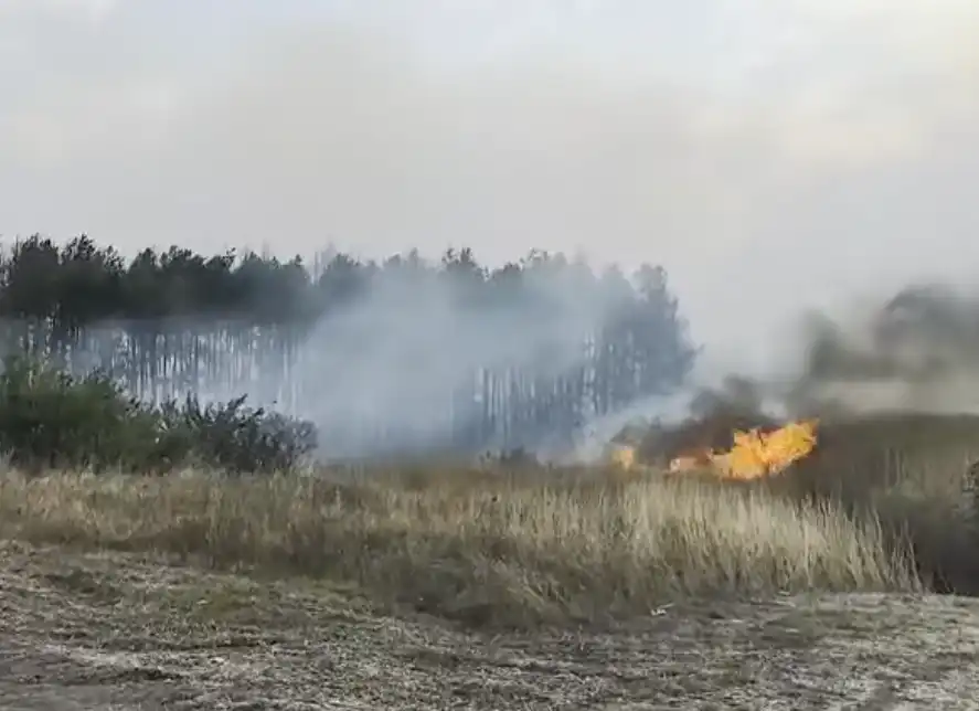 Огнен ад край Гълъбово, общината обяви бедствено положение Видео