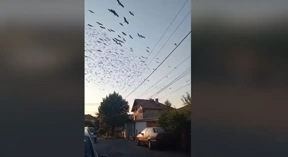 Зрелищно видео показа как лятото си отлита от България