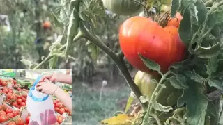 Тъжната истина за БГ селата и как се ходи там за уикенда