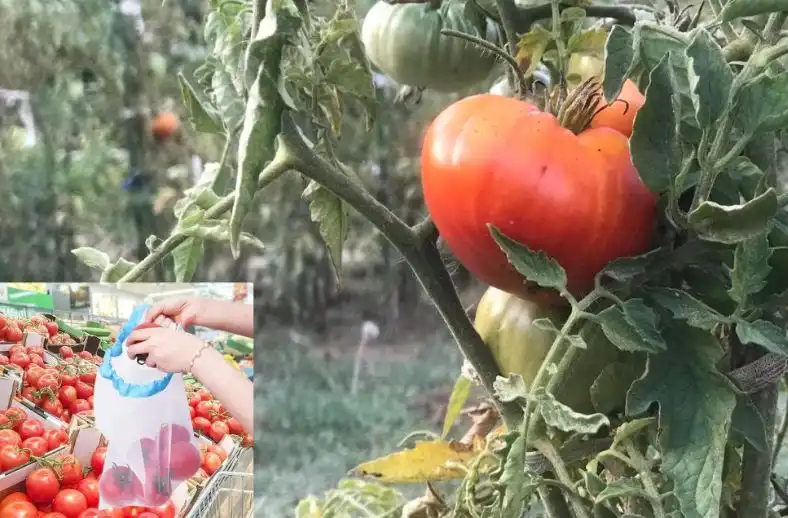 Тъжната истина за БГ селата и как се ходи там за уикенда