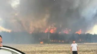 Има задържан за пожара край Българово: Над 20 сгради и 4000 декара са в пепел