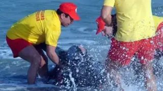 Трагична развръзка: Откриха телата на детето и мъжа, изчезнали в морето край Слънчев бряг
