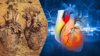 Учени разкриха 500-годишната тайна на сърцето на Да Винчи