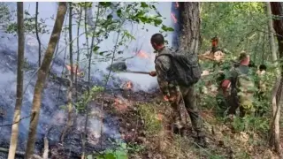 Страшно е! Военни се включиха в потушаването на огнения ад в България Снимки