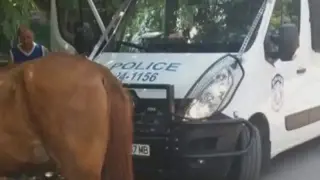 Кон влачи и едва не уби ездача си в Айтос
