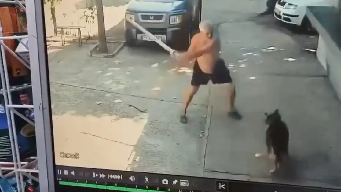 Мъж преби с желязна тръба сляпо куче в Казанлък Видео