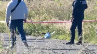 "Чистачката" действа, отстави след себе си 6 отрязани глави на мъже Снимки 18+