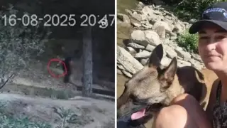 Първи подробности за нападнатото семейство на шефката на приюта за животни в Благоевград
