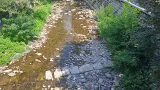 Река Благоевградска Бистрица почти пресъхна Снимки