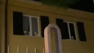 Собственик на седем котки се върнал у дома и видял нещо удивително Видео