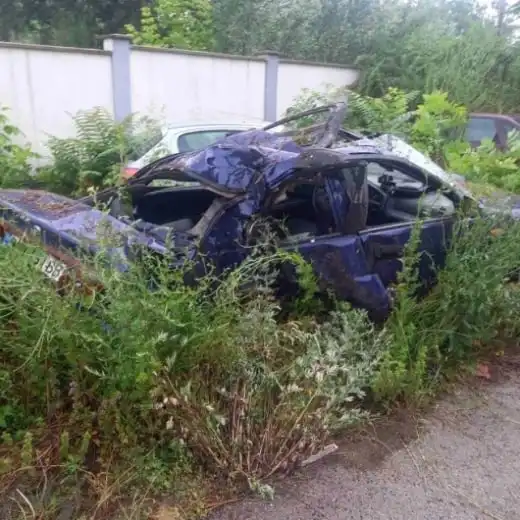 Горещи новини около зверската катастрофа в Бутан, при която загинаха 2 деца