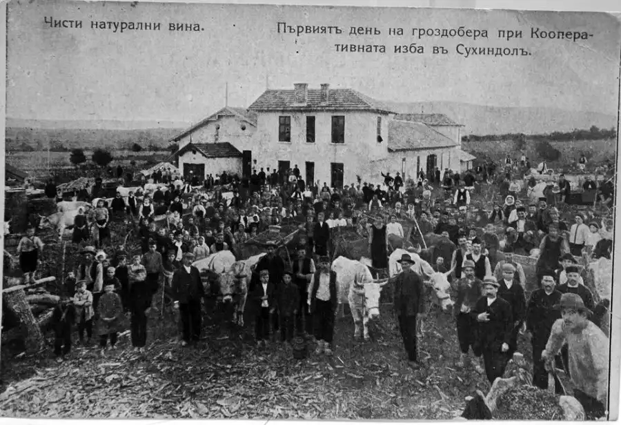 Гроздобер в Сухиндол преди години