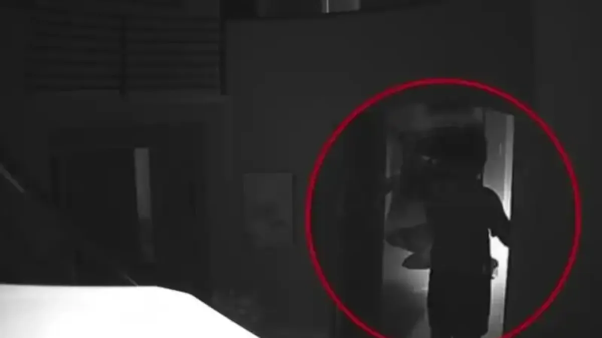 Мъж обърка мечка с крадец и я застреля с автомат Видео 18+