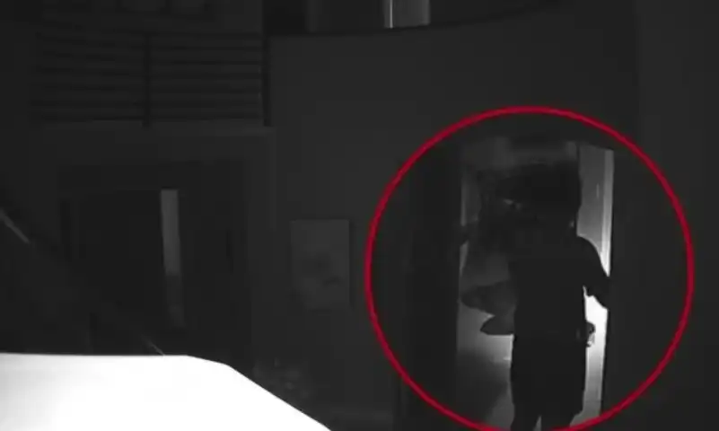 Мъж обърка мечка с крадец и я застреля с автомат Видео 18+