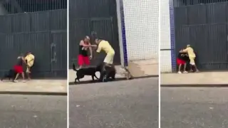 Очевидци заснеха битката между двама мъже и двете им кучета Видео 18+