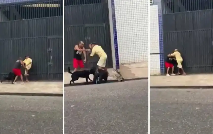Очевидци заснеха битката между двама мъже и двете им кучета Видео 18+