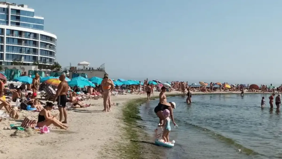 Черно море бавно умира: Замърсяване, мъртви делфини и промени в екосистемата